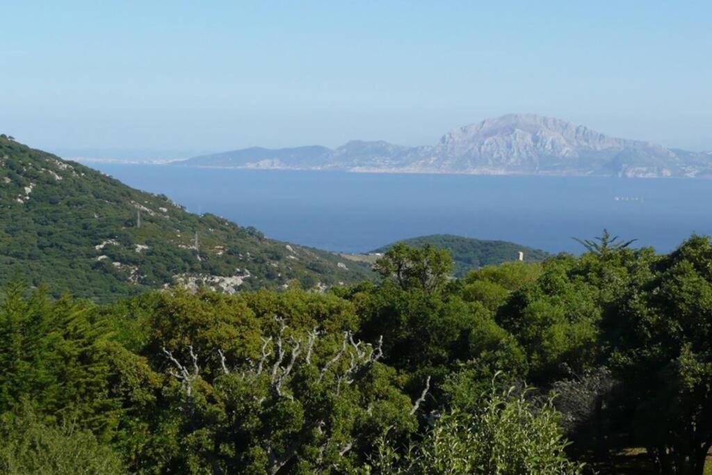 Villa Tarifa Exteriör bild